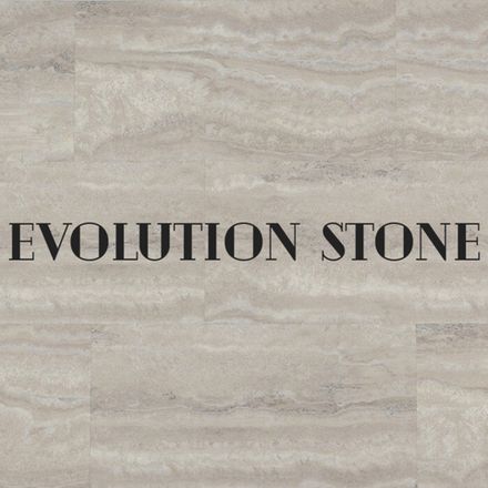 Evolution Stone
