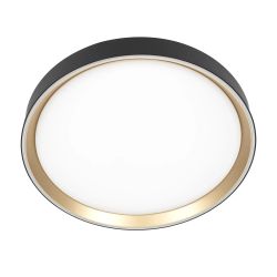 Citilux BOSS CL751351G LED RGB Светильник с пультом Чёрный с Золотом