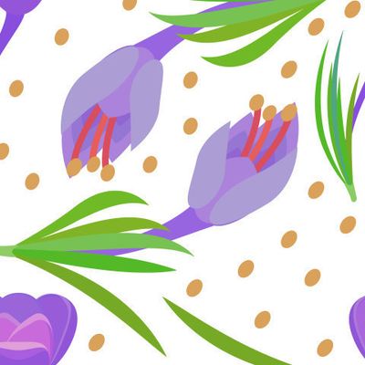 крокусы и желтые круги