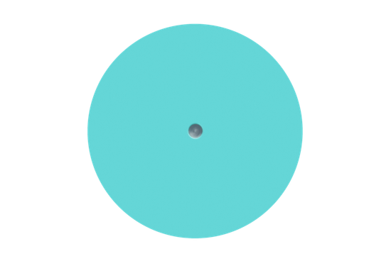 Диск педикюрный пластиковый PODODISC STALEKS EXPERT L в комплекте с сменным файлом 180 грит 5 шт (25 мм)