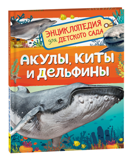 Акулы, киты и дельфины (Энциклопедия для детского сада)