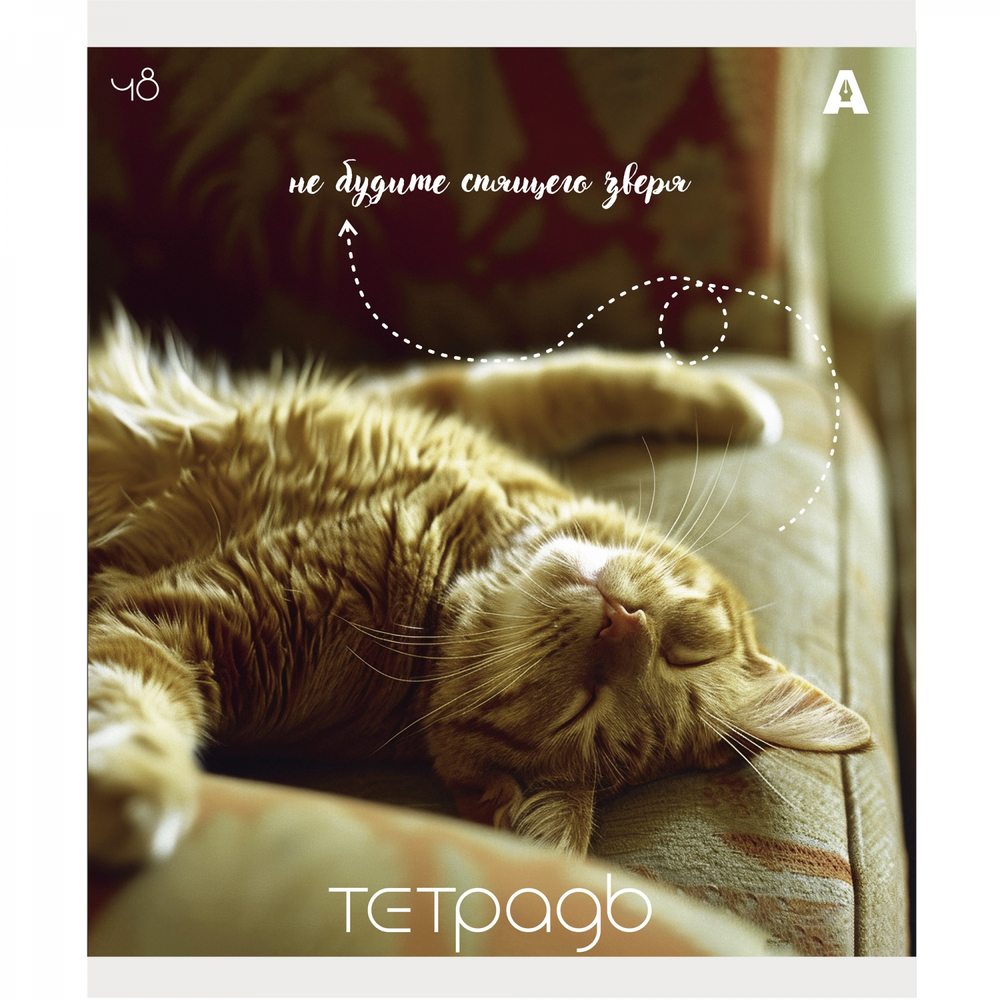 Тетрадь 48л., А5, клетка, Alingar "Кошки", скрепка, мелованый картон ( стандарт), блок офсет, 5 дизайнов в пленке т/у