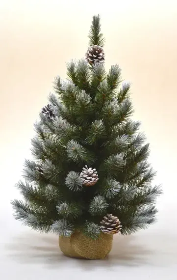 Ель Женева в мешочке с шишками, заснеженная 60 см., ЛЕСКА, Triumph Tree (73502)
