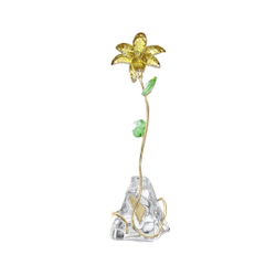 FLORERE:LILY