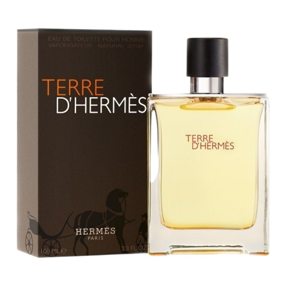 HERMES Terre d'Hermes edT 100ml men