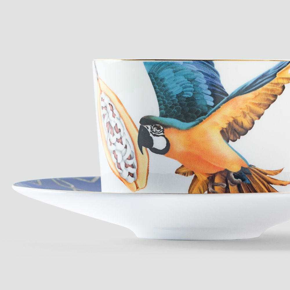 Чайная пара Farforite «Попугай / Амазония» 250 мл в подарочной коробке