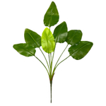 Равенала куст 85 см.