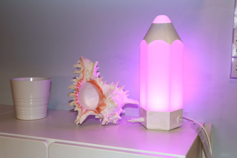 Морская раковина Чикореус рамоусус в интерьера спальни