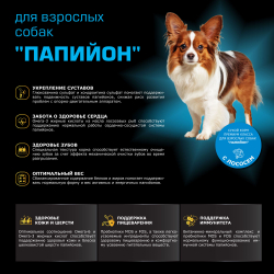 Корм сухой для взрослых собак породы Папийон, с лососем, 800 гр, QUATTRO