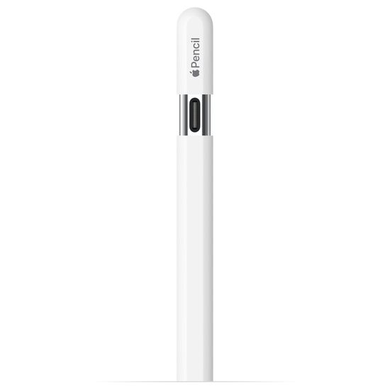 Apple Pencil USB-C ( iPad Air 4, iPad mini 6, iPad Pro 2020-21-22) MUWA3AM/A
