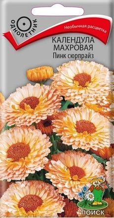Календула