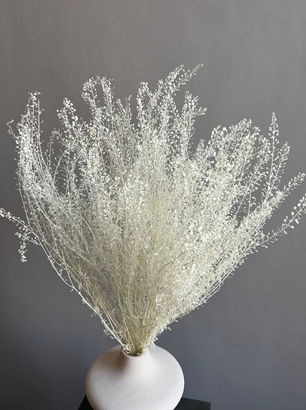 Ярутка стабилизированная белая