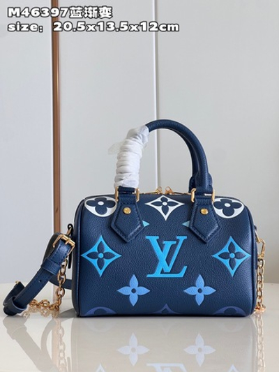 Louis Vuitton Speedy 20