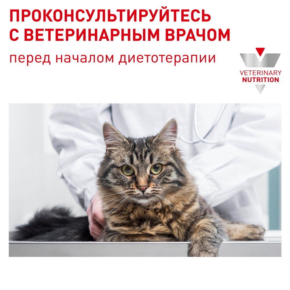 Пауч для кастрированных/стерилизованных котов и кошек, Royal Canin Neutered  Weight Balance, с момента операции до 7 лет, склонных к избыточному весу  купить с доставкой в интернет-магазине зоогастроном.ру