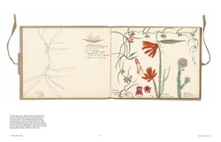 Botanical Sketchbooks