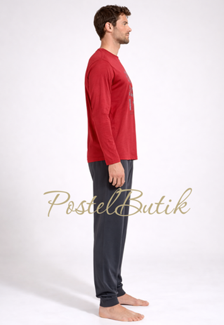 Пижама мужская Massana T69 Garnet P711317