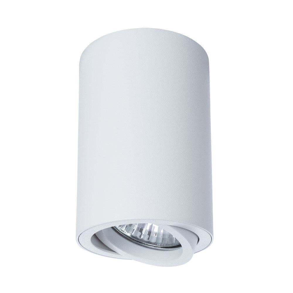 Светильник потолочный Arte Lamp Sentry A1560PL-1WH