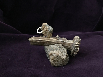 Путешественник