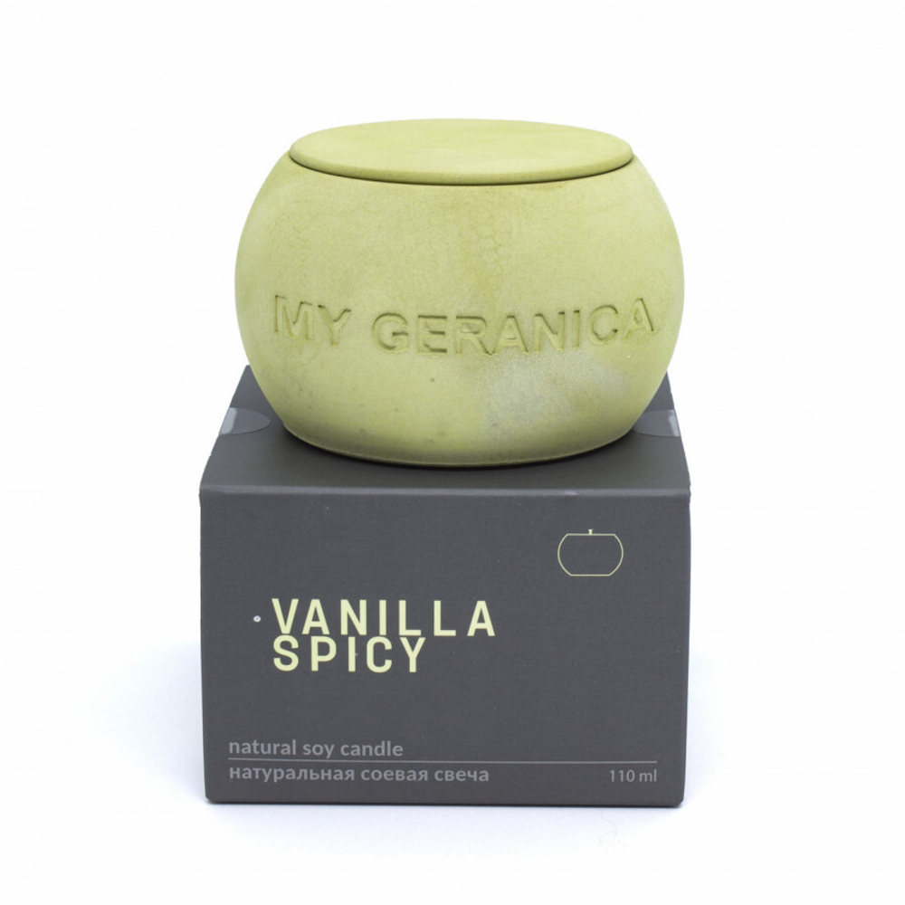 Натуральная соевая свеча Vanilla Spicy