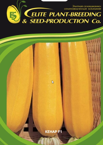 Кенар F1 семена кабачка (Гавриш) – фото 2