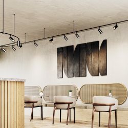 Трековый магнитный гибкий светодиодный светильник Maytoni   TR201-1-10W3K-M-B