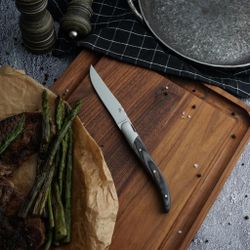 Нож для стейка 22,3 см "Garwin Paris" Pakka Wood P.L. Proff Cuisine