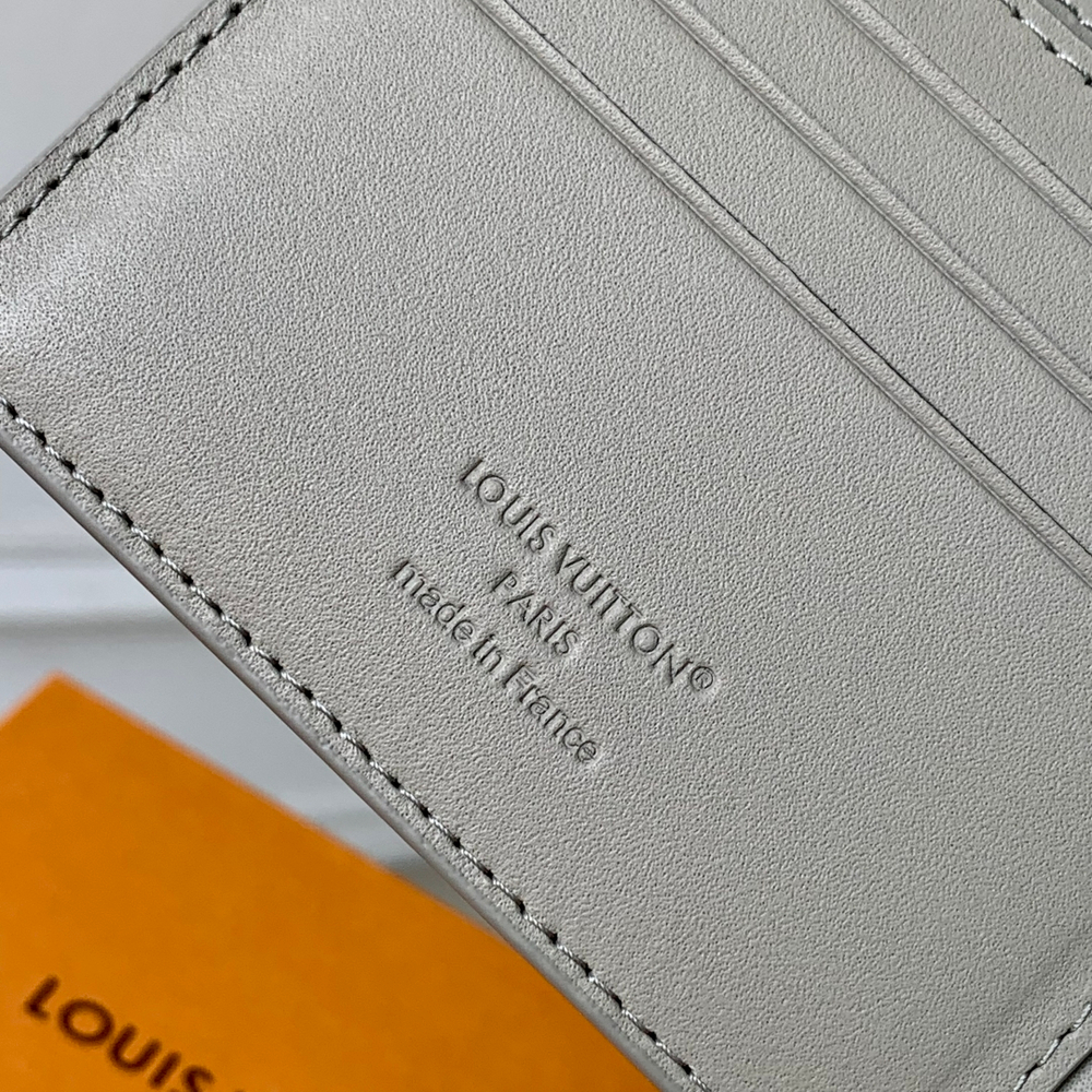 Louis Vuitton Multiple Wallet
