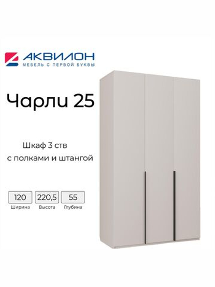 шкаф для одежды распашной Чарли №25, 120х55х220 см