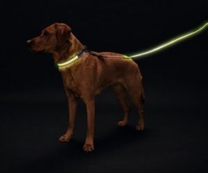 Ошейник для собак, Hunter LED Manoa Glow L (55-60)/2,5, желтый