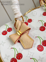 Louis Vuitton Speedy Soft 30