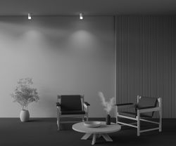 Светильник потолочный Maytoni   C007CW-01W