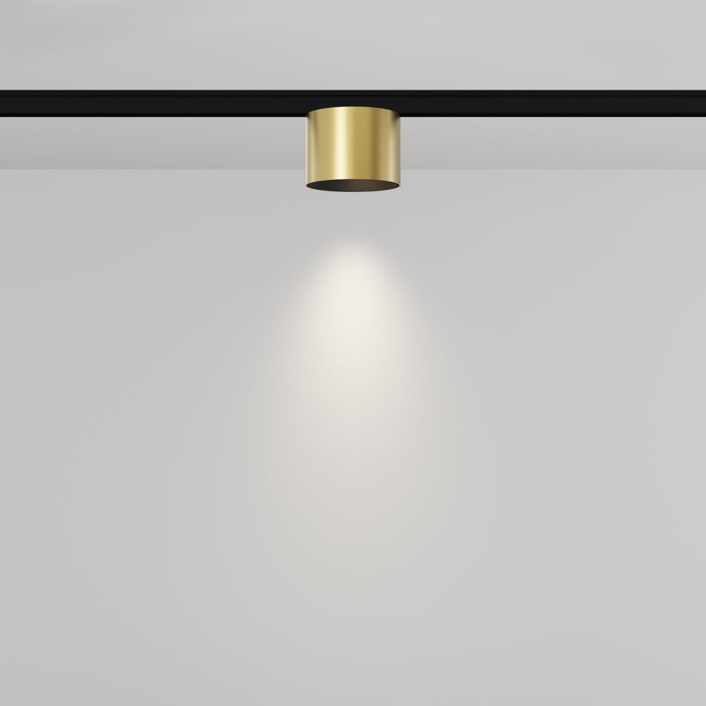 Трековый магнитный светодиодный светильник Maytoni Levity   TR188-1-5W4K-M-BBS