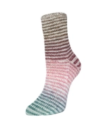 Пряжа Rellana Flotte Socke 4f. Perfect Rainbow (3124)