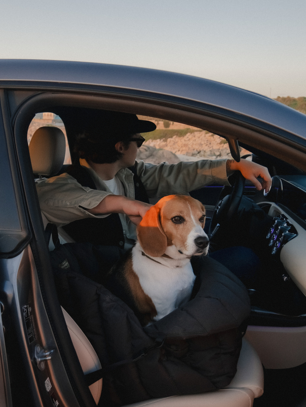 Автокресло-Пони чёрное