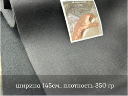 Костюмная НА ФЛИСЕ черная