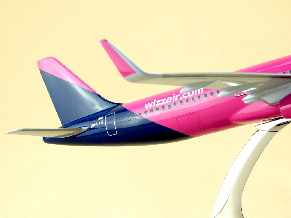 Модель самолета Airbus A321 (М1:100, Wizz Air)