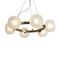 Подвесная люстра Freya Donuts FR5444PL-06BS