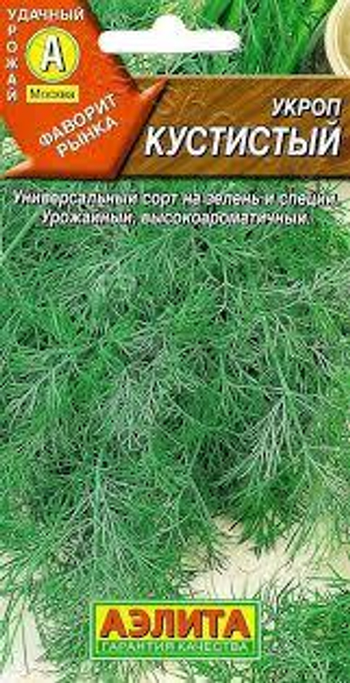 Укроп Кустистый