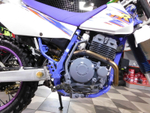 Yamaha TT-R 250 Open Enduro 4GY-004411