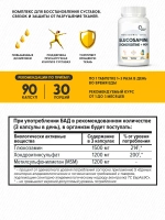 Glucosamine Chondroitin + MSM