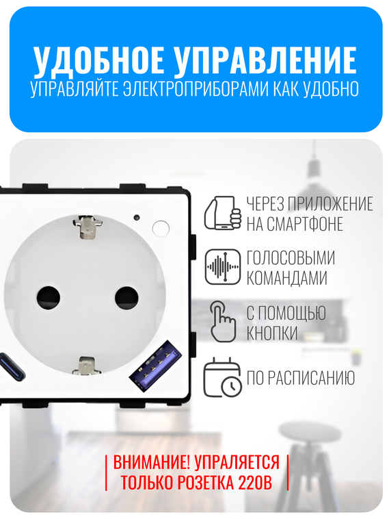 Умная Wi-Fi розетка с зарядным устройством USB и Type-C Smart Aura серия Classic без рамки