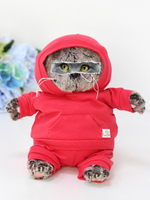 Костюм красного цвета для кота Басика и кошечки Ли-Ли