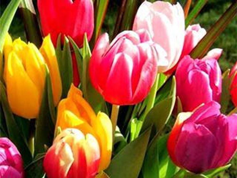 Работа магазина в майские праздники!