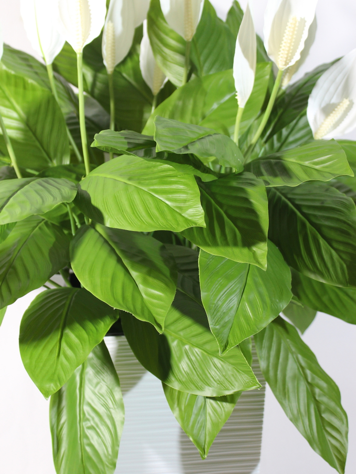 Искусственные цветы Спатифиллум в коричневом кашпо ротанг 51см