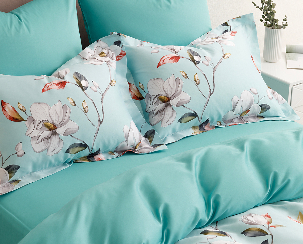 Постельное белье СайлиД BN-001 сатин