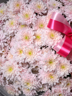 Нежные чувства 25 *