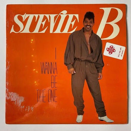Винтажная виниловая пластинка LP Stevie B I Wanna Be The One (USA 1988)