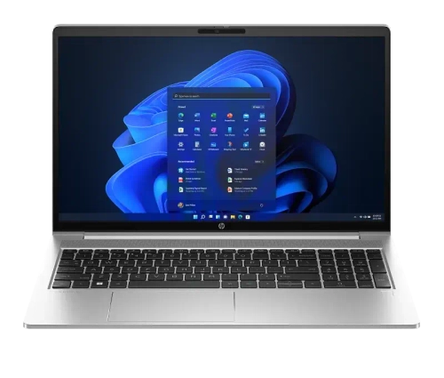 Ноутбук HP ProBook 450 G10 (725S4EA)