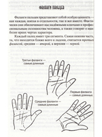 Искусство анализа руки