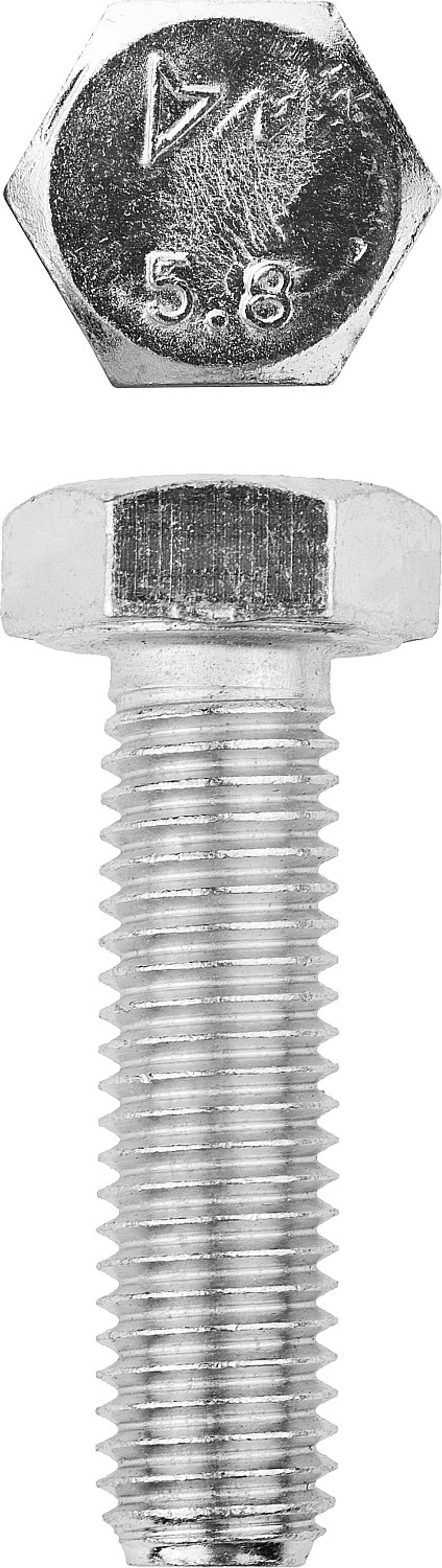 ЗУБР ГОСТ 7798-70, кл. пр. 5.8, M12 х 50 мм, цинк, 5 кг, болт (303080-12-050)